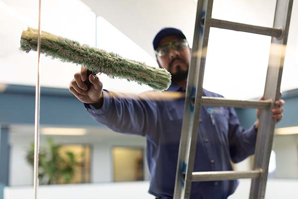 Read more about our Window Cleaning Services